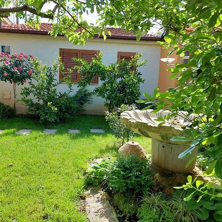 Adriatic Apartments Nada Fažana Dış mekan fotoğraf